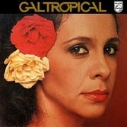 Gal Tropical